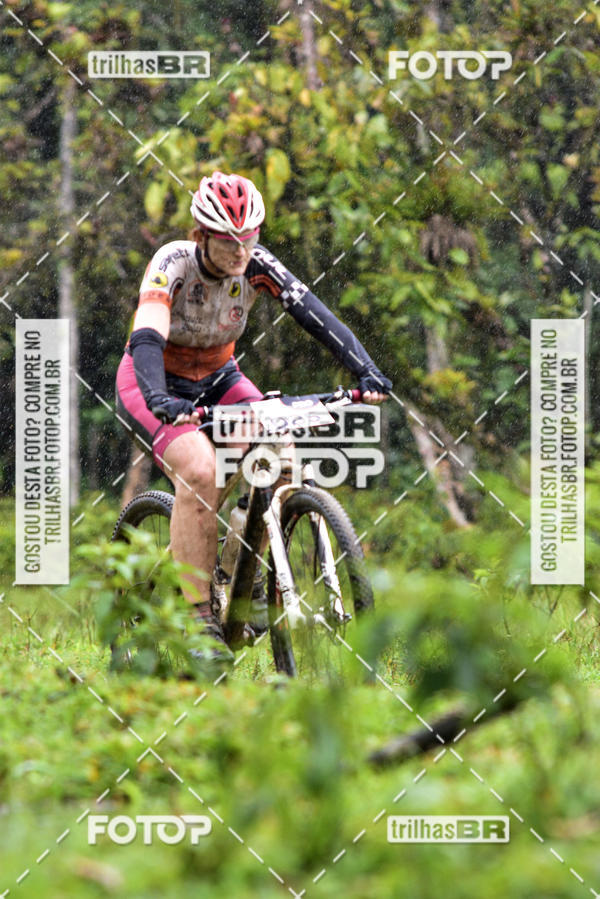 Buy your photos of the eventCircuito Soul de Mountain Bike 2017 - Joinville - SC on Fotop