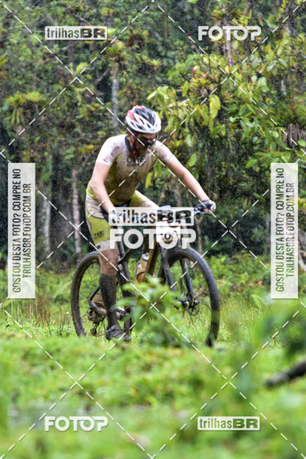 Buy your photos of the eventCircuito Soul de Mountain Bike 2017 - Joinville - SC on Fotop