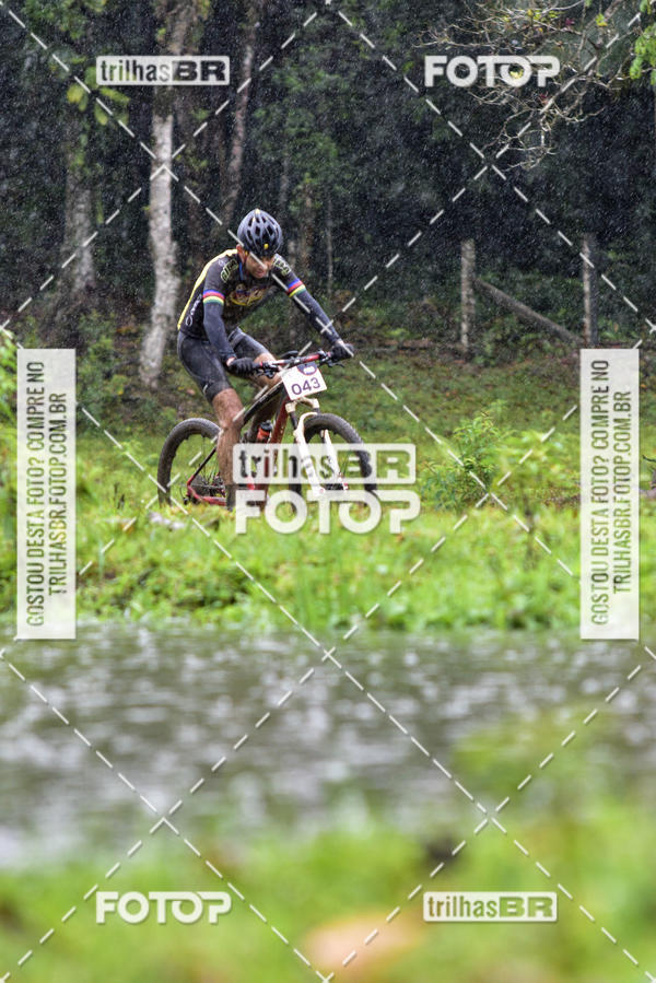 Buy your photos of the eventCircuito Soul de Mountain Bike 2017 - Joinville - SC on Fotop