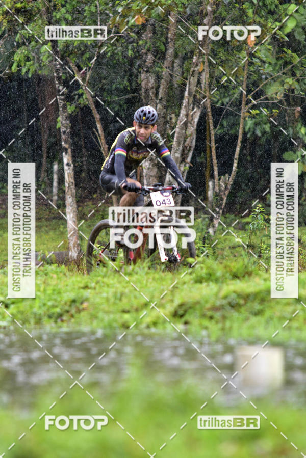 Buy your photos of the eventCircuito Soul de Mountain Bike 2017 - Joinville - SC on Fotop