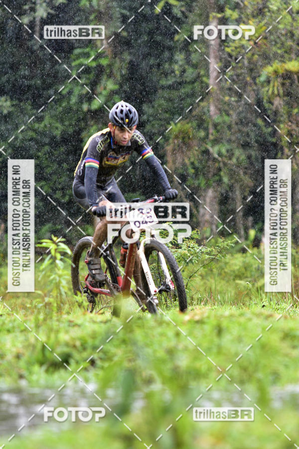 Buy your photos of the eventCircuito Soul de Mountain Bike 2017 - Joinville - SC on Fotop