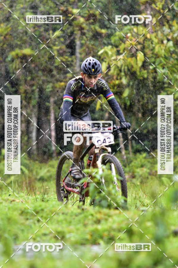 Buy your photos of the eventCircuito Soul de Mountain Bike 2017 - Joinville - SC on Fotop