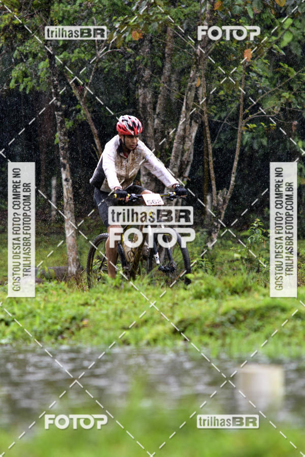 Buy your photos of the eventCircuito Soul de Mountain Bike 2017 - Joinville - SC on Fotop