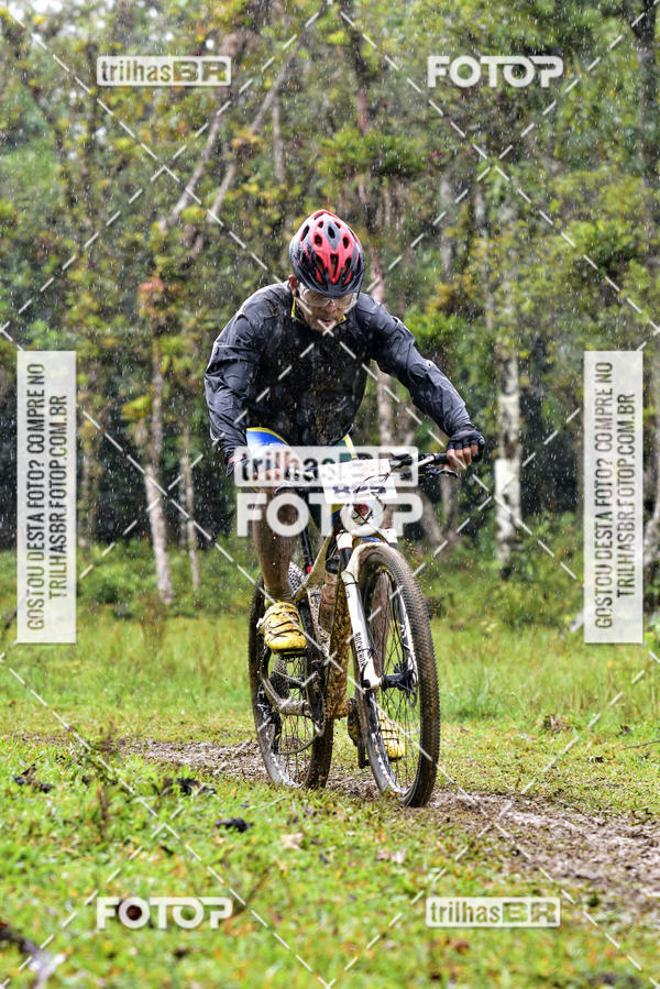 Buy your photos of the eventCircuito Soul de Mountain Bike 2017 - Joinville - SC on Fotop