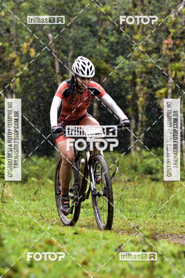 Buy your photos of the eventCircuito Soul de Mountain Bike 2017 - Joinville - SC on Fotop