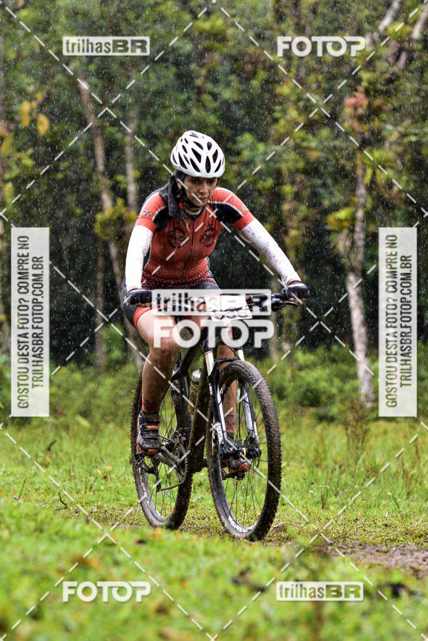 Buy your photos of the eventCircuito Soul de Mountain Bike 2017 - Joinville - SC on Fotop