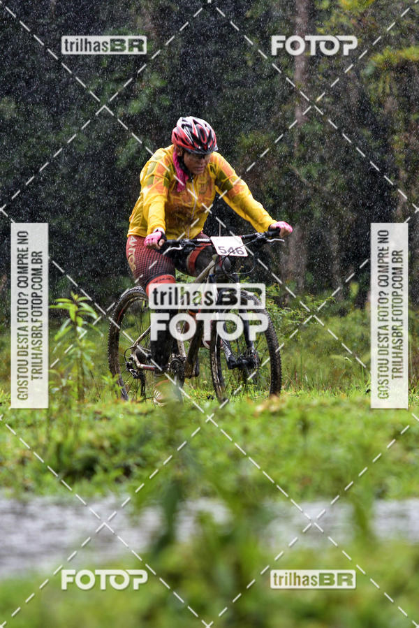 Buy your photos of the eventCircuito Soul de Mountain Bike 2017 - Joinville - SC on Fotop