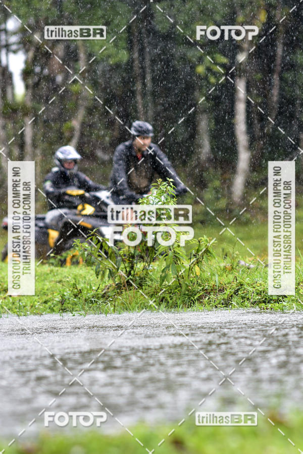 Buy your photos of the eventCircuito Soul de Mountain Bike 2017 - Joinville - SC on Fotop