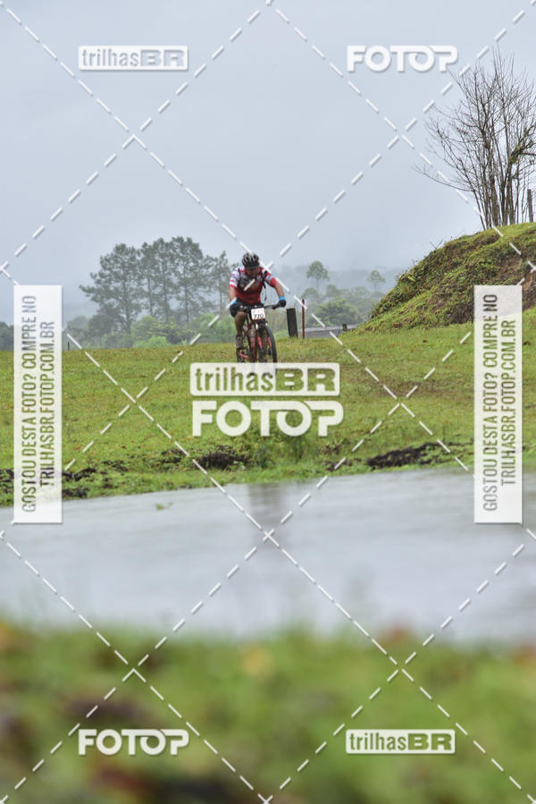 Buy your photos of the eventCircuito Soul de Mountain Bike 2017 - Joinville - SC on Fotop