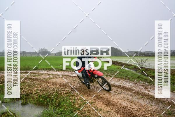 Buy your photos of the eventCircuito Soul de Mountain Bike 2017 - Joinville - SC on Fotop