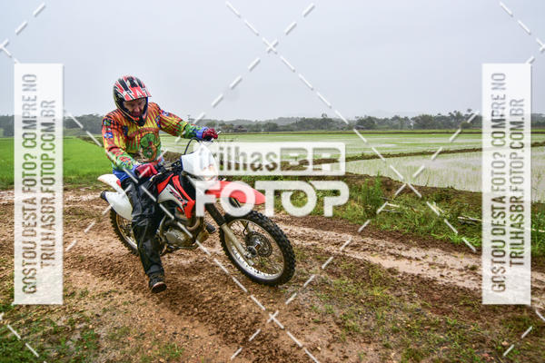 Buy your photos of the eventCircuito Soul de Mountain Bike 2017 - Joinville - SC on Fotop