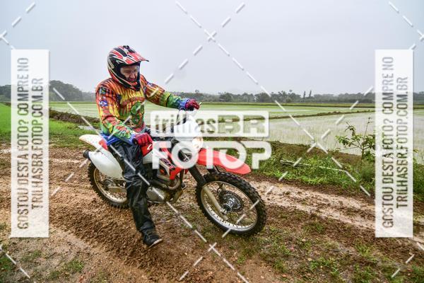 Buy your photos of the eventCircuito Soul de Mountain Bike 2017 - Joinville - SC on Fotop