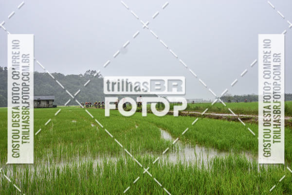 Buy your photos of the eventCircuito Soul de Mountain Bike 2017 - Joinville - SC on Fotop