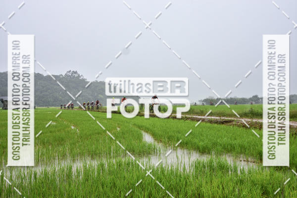 Buy your photos of the eventCircuito Soul de Mountain Bike 2017 - Joinville - SC on Fotop