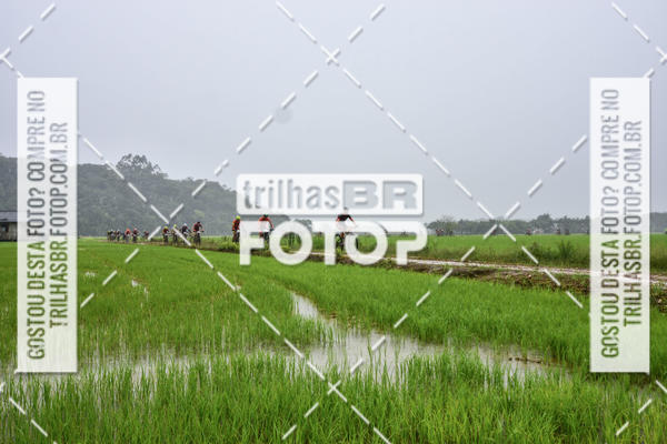 Buy your photos of the eventCircuito Soul de Mountain Bike 2017 - Joinville - SC on Fotop