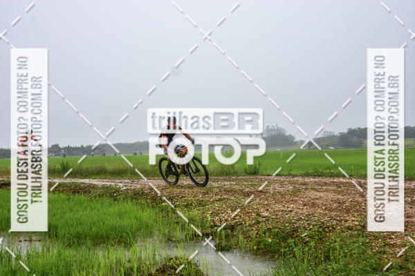 Buy your photos of the eventCircuito Soul de Mountain Bike 2017 - Joinville - SC on Fotop