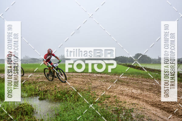 Buy your photos of the eventCircuito Soul de Mountain Bike 2017 - Joinville - SC on Fotop