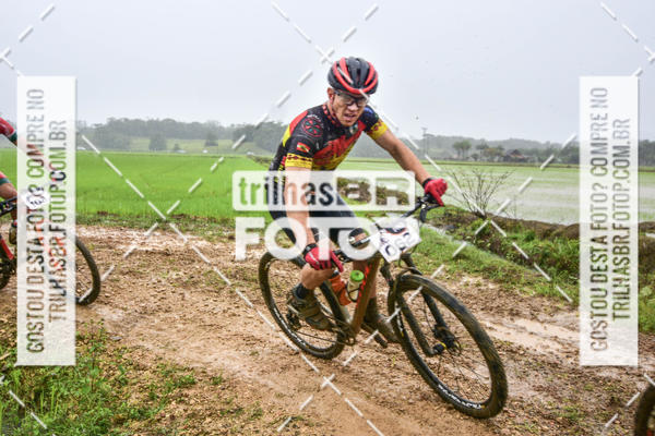 Buy your photos of the eventCircuito Soul de Mountain Bike 2017 - Joinville - SC on Fotop