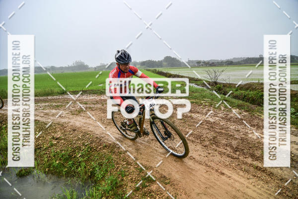 Buy your photos of the eventCircuito Soul de Mountain Bike 2017 - Joinville - SC on Fotop