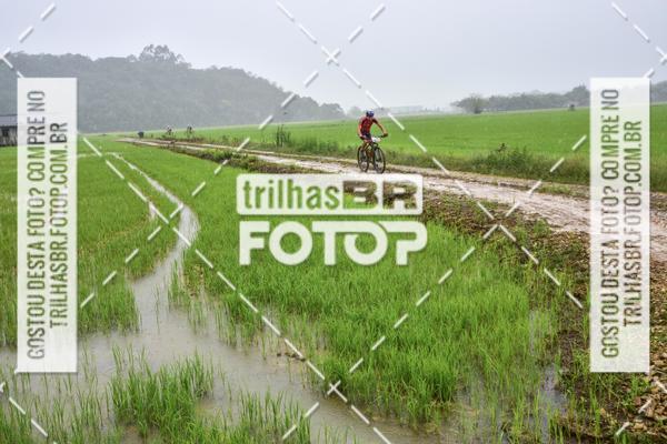 Buy your photos of the eventCircuito Soul de Mountain Bike 2017 - Joinville - SC on Fotop
