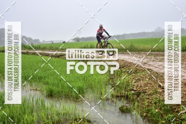 Buy your photos of the eventCircuito Soul de Mountain Bike 2017 - Joinville - SC on Fotop