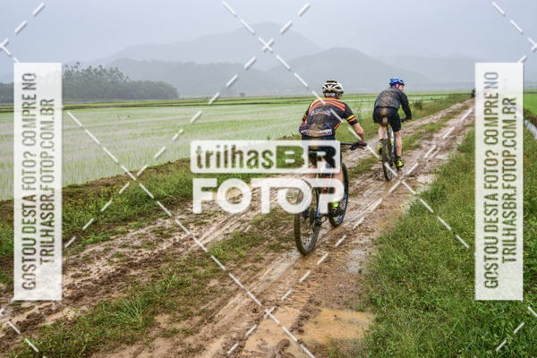 Buy your photos of the eventCircuito Soul de Mountain Bike 2017 - Joinville - SC on Fotop