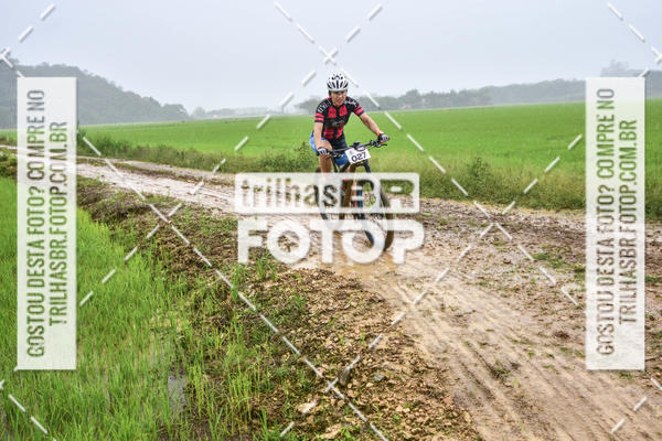 Buy your photos of the eventCircuito Soul de Mountain Bike 2017 - Joinville - SC on Fotop