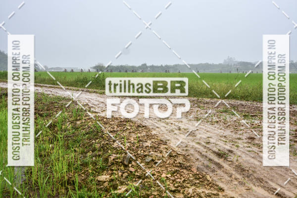 Buy your photos of the eventCircuito Soul de Mountain Bike 2017 - Joinville - SC on Fotop