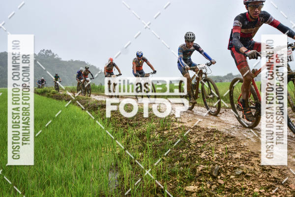 Buy your photos of the eventCircuito Soul de Mountain Bike 2017 - Joinville - SC on Fotop
