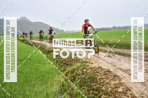 Buy your photos of the eventCircuito Soul de Mountain Bike 2017 - Joinville - SC on Fotop