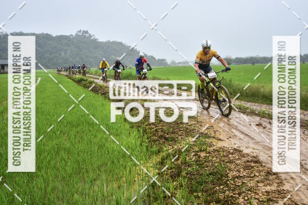 Buy your photos of the eventCircuito Soul de Mountain Bike 2017 - Joinville - SC on Fotop