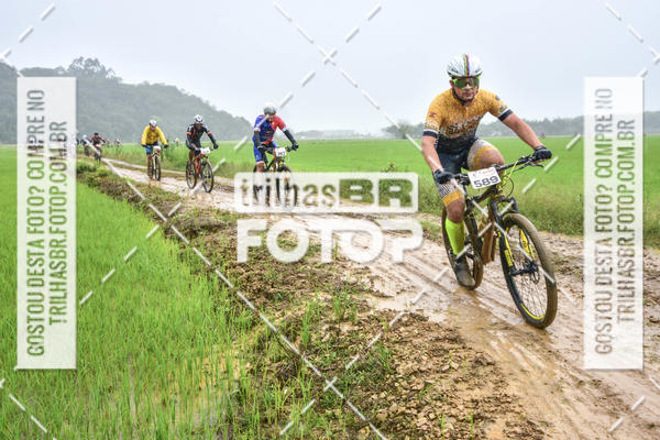 Buy your photos of the eventCircuito Soul de Mountain Bike 2017 - Joinville - SC on Fotop