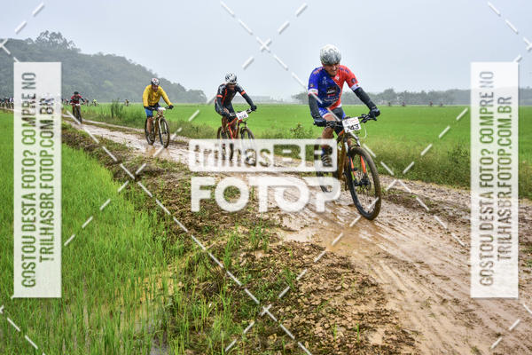 Buy your photos of the eventCircuito Soul de Mountain Bike 2017 - Joinville - SC on Fotop