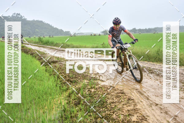 Buy your photos of the eventCircuito Soul de Mountain Bike 2017 - Joinville - SC on Fotop