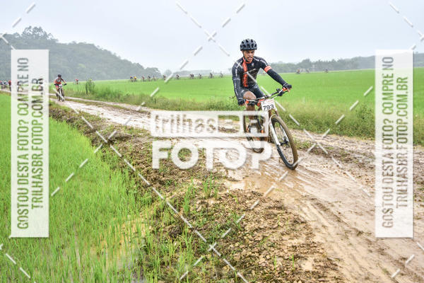 Buy your photos of the eventCircuito Soul de Mountain Bike 2017 - Joinville - SC on Fotop