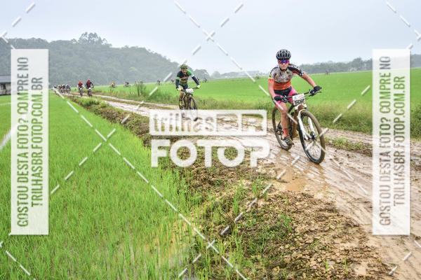 Buy your photos of the eventCircuito Soul de Mountain Bike 2017 - Joinville - SC on Fotop