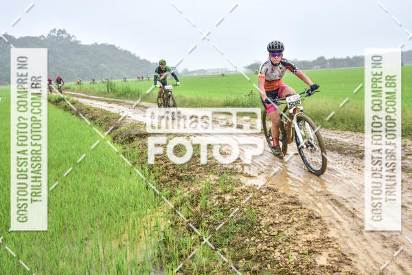 Buy your photos of the eventCircuito Soul de Mountain Bike 2017 - Joinville - SC on Fotop
