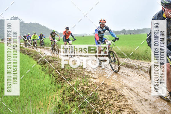 Buy your photos of the eventCircuito Soul de Mountain Bike 2017 - Joinville - SC on Fotop