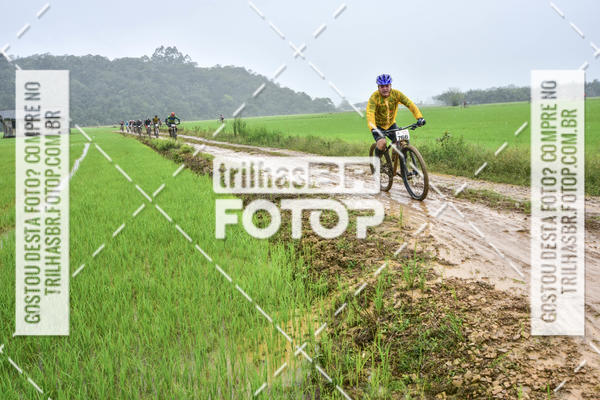 Buy your photos of the eventCircuito Soul de Mountain Bike 2017 - Joinville - SC on Fotop