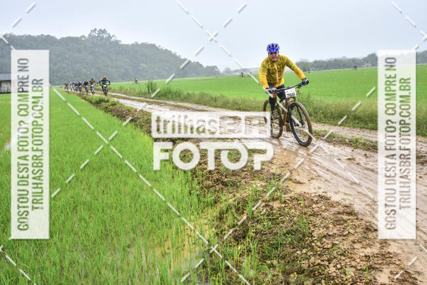 Buy your photos of the eventCircuito Soul de Mountain Bike 2017 - Joinville - SC on Fotop