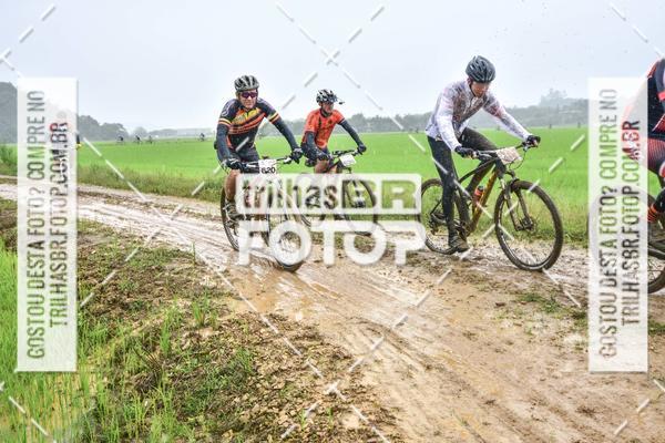 Buy your photos of the eventCircuito Soul de Mountain Bike 2017 - Joinville - SC on Fotop
