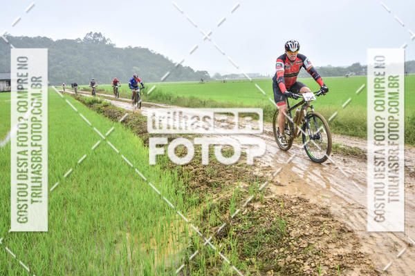 Buy your photos of the eventCircuito Soul de Mountain Bike 2017 - Joinville - SC on Fotop