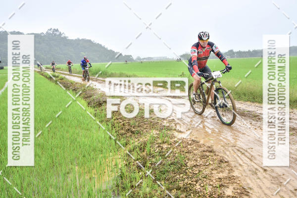 Buy your photos of the eventCircuito Soul de Mountain Bike 2017 - Joinville - SC on Fotop