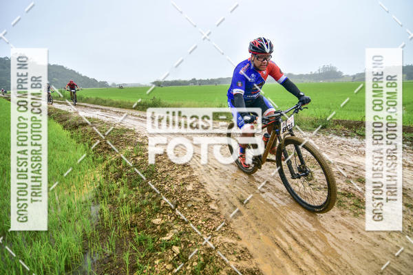 Buy your photos of the eventCircuito Soul de Mountain Bike 2017 - Joinville - SC on Fotop