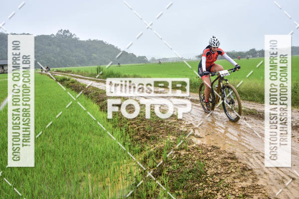 Buy your photos of the eventCircuito Soul de Mountain Bike 2017 - Joinville - SC on Fotop