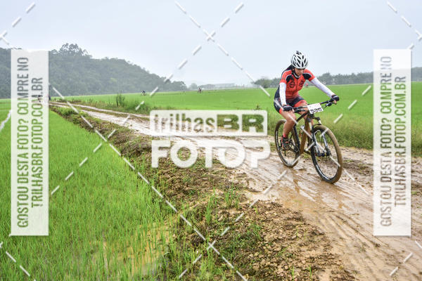 Buy your photos of the eventCircuito Soul de Mountain Bike 2017 - Joinville - SC on Fotop