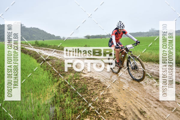 Buy your photos of the eventCircuito Soul de Mountain Bike 2017 - Joinville - SC on Fotop