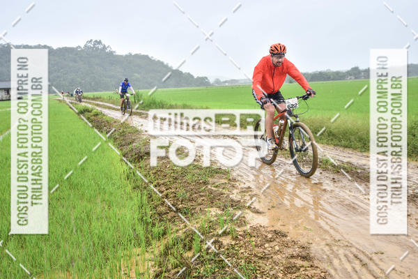 Buy your photos of the eventCircuito Soul de Mountain Bike 2017 - Joinville - SC on Fotop