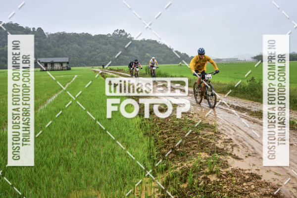 Buy your photos of the eventCircuito Soul de Mountain Bike 2017 - Joinville - SC on Fotop