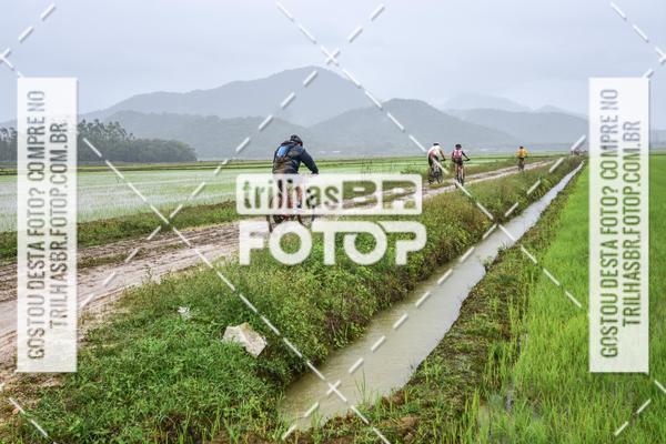 Buy your photos of the eventCircuito Soul de Mountain Bike 2017 - Joinville - SC on Fotop